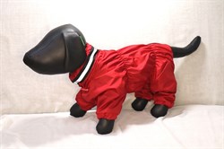 Комбинезон для собак BRAIZ на флисе ЭКО № 6 сука - фото 14534