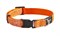 Ошейник для собак Rogz BEACH BUM 20мм*34-56 см, оранжевый - фото 14521