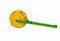 STARMARK мяч желтый Tetraflex малый на ленте-петле